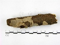 登錄號:F0002751藏品圖，第1張