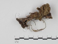 登錄號:F0002753藏品圖，第1張