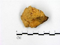 登錄號:F0002755藏品圖，第3張