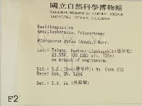 登錄號:F0002756藏品圖，第2張