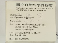 登錄號:F0002759藏品圖，第2張