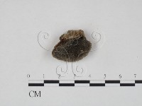 登錄號:F0002759藏品圖，第1張