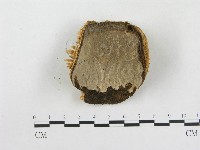 登錄號:F0002761藏品圖，第3張