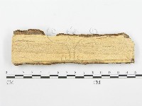 登錄號:F0002763藏品圖，第4張