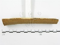 登錄號:F0002763藏品圖，第6張
