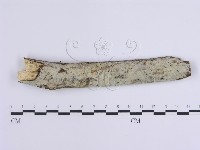 登錄號:F0002765藏品圖，第1張