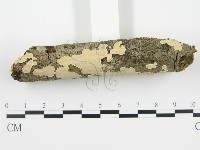 登錄號:F0002766藏品圖，第3張