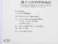 登錄號:F0002767藏品圖，第2張