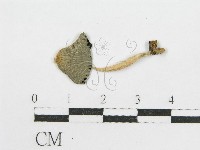 登錄號:F0002767藏品圖，第1張