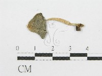登錄號:F0002767藏品圖，第3張