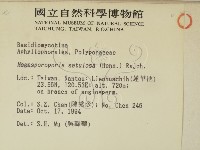 登錄號:F0002768藏品圖，第2張