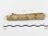 登錄號:F0002769藏品圖，第1張