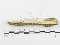 登錄號:F0002769藏品圖，第3張