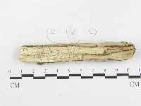 登錄號:F0002769藏品圖，第4張