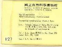 登錄號:F0002770藏品圖，第2張