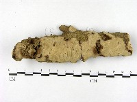 登錄號:F0002770藏品圖，第1張