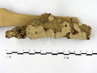 登錄號:F0002770藏品圖，第3張