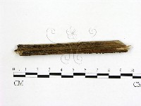 登錄號:F0002772藏品圖，第3張