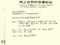 登錄號:F0002773藏品圖，第2張