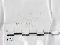 登錄號:F0002773藏品圖，第1張