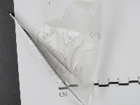 登錄號:F0002774藏品圖，第1張