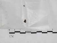 登錄號:F0002775藏品圖，第1張