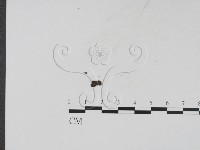 登錄號:F0002775藏品圖，第3張