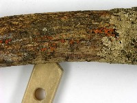 登錄號:F0002776藏品圖，第3張