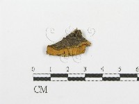 登錄號:F0002777藏品圖，第1張