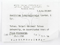 登錄號:F0002779藏品圖，第3張