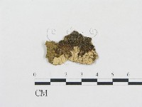 登錄號:F0002783藏品圖，第1張