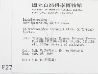 登錄號:F0002784藏品圖，第2張