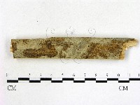 登錄號:F0002786藏品圖，第1張