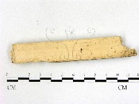 登錄號:F0002786藏品圖，第3張