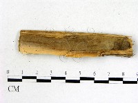 登錄號:F0002787藏品圖，第3張