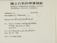 登錄號:F0002788藏品圖，第2張