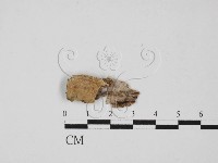 登錄號:F0002788藏品圖，第1張