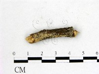 登錄號:F0002790藏品圖，第1張