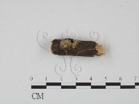 登錄號:F0002791藏品圖，第3張