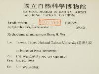 登錄號:F0002796藏品圖，第2張