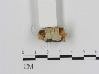 登錄號:F0002796藏品圖，第1張