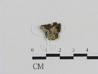登錄號:F0002797藏品圖，第1張