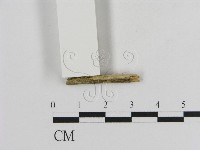 登錄號:F0002798藏品圖，第3張