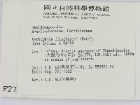 登錄號:F0002799藏品圖，第2張