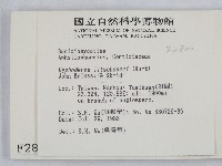 登錄號:F0002800藏品圖，第2張