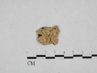 登錄號:F0002800藏品圖，第1張