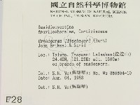 登錄號:F0002801藏品圖，第2張