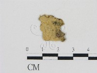 登錄號:F0002801藏品圖，第1張