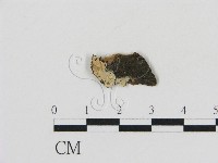 登錄號:F0002802藏品圖，第1張