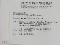 登錄號:F0002805藏品圖，第2張